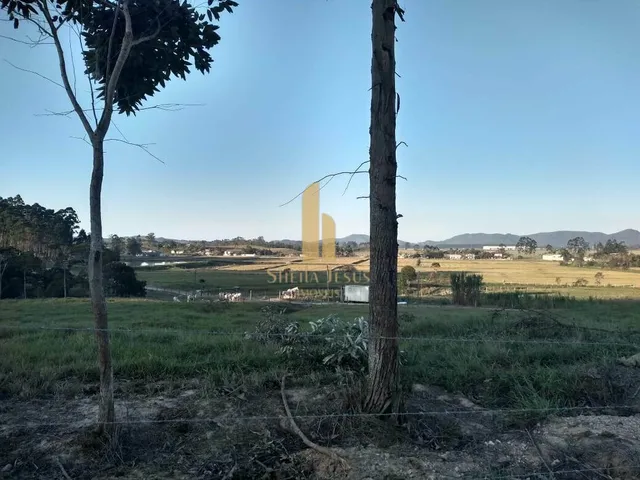 Imagem 7: Próximo à SC 470 DISTRITO INDUSTRIAL