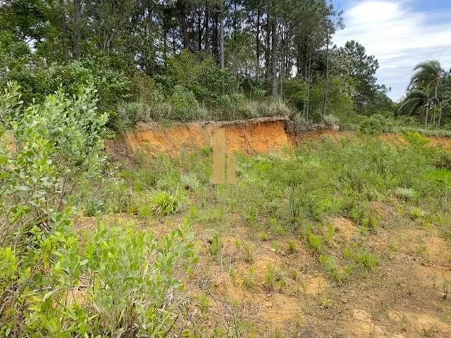 Imagem 9: Terreno em Nossa Senhora de Fátima, Penha/SC