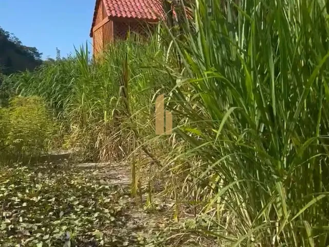 Imagem 3: Área à Venda - Rio Pequeno Camboriú/SC