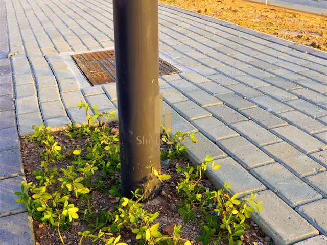 Imagem 12: Lindo Lote com Projeto Aprovado no Colinas de Camboriú