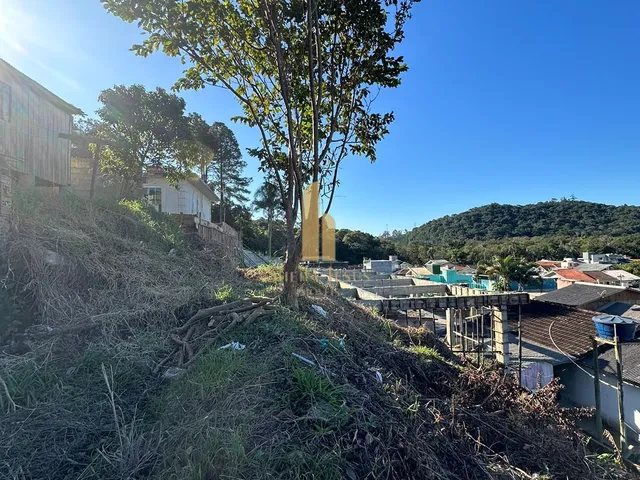 Imagem 3: Terreno com Viabilidade e Escritura à Venda em Camboriú/SC!!!
