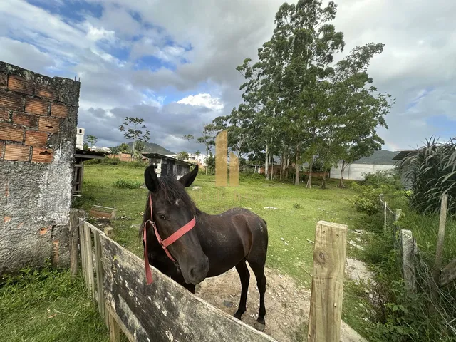 Imagem 2: Área à Venda - Rio Pequeno Camboriú/SC