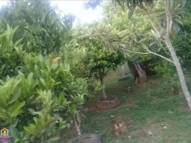 Imagem 12: ÓTIMA CHÁCARA COM CASA, POMAR, CRIAÇÃO, TANQUE DE PEIXES, ETC. COM 1,200M² NO CAMPO