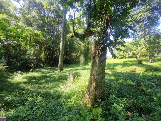 Imagem 13: ÓTIMA CHÁCARA NA LAGOA GRANDE COM 6.000M² E CASA COM 3 QUARTOS A 400 METROS DO ASFALTO
