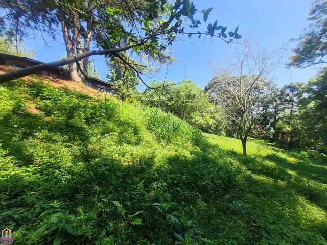 Imagem 15: ÓTIMA CHÁCARA NA LAGOA GRANDE COM 6.000M² E CASA COM 3 QUARTOS A 400 METROS DO ASFALTO