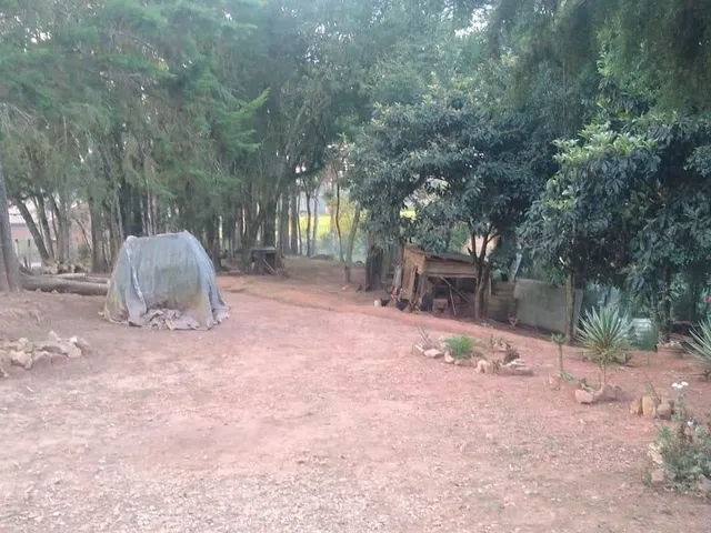Imagem 3: ÓTIMA CHÁCARA NA LAGOA GRANDE COM 6.000M² E CASA COM 3 QUARTOS A 400 METROS DO ASFALTO