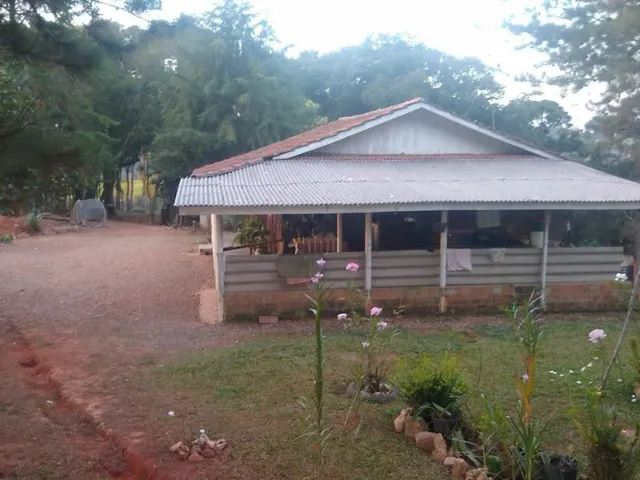 Imagem 7: ÓTIMA CHÁCARA NA LAGOA GRANDE COM 6.000M² E CASA COM 3 QUARTOS A 400 METROS DO ASFALTO