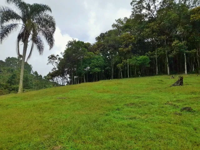 Imagem: Sítio 40.000 M², Casa, Galpão, Açude