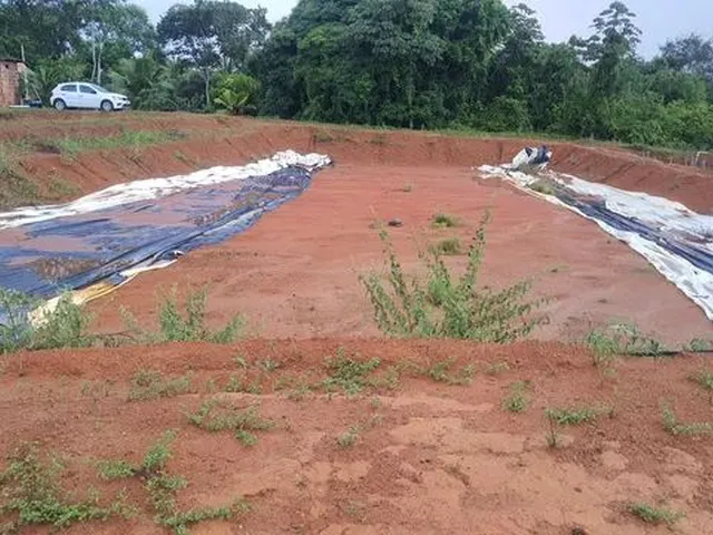 Imagem: Sitio para Criação de Tilápias
