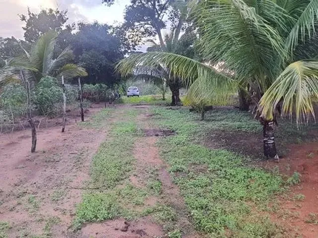 Imagem 14: Sitio para Criação de Tilápias
