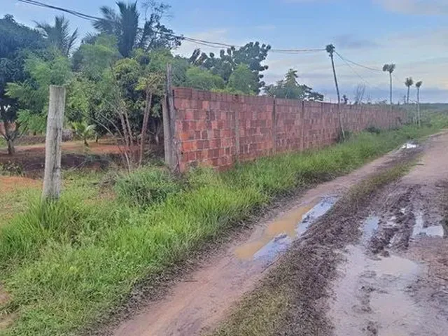 Imagem 12: Sitio para Criação de Tilápias