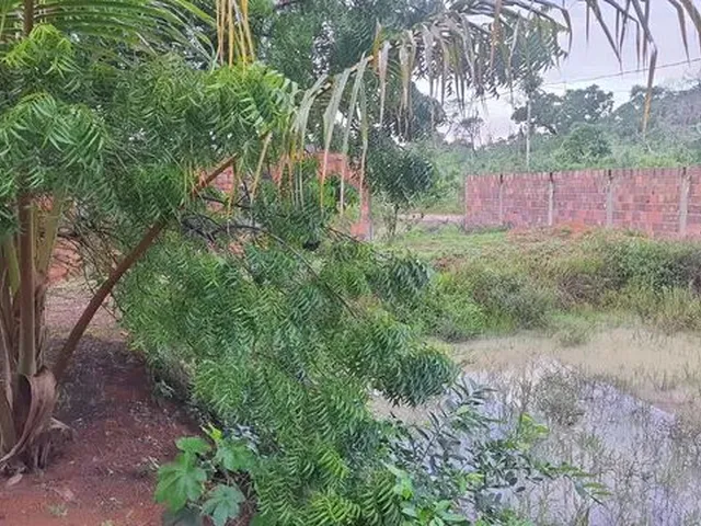 Imagem 15: Sitio para Criação de Tilápias