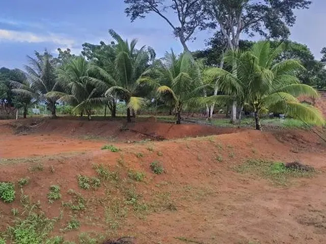 Imagem 8: Sitio para Criação de Tilápias