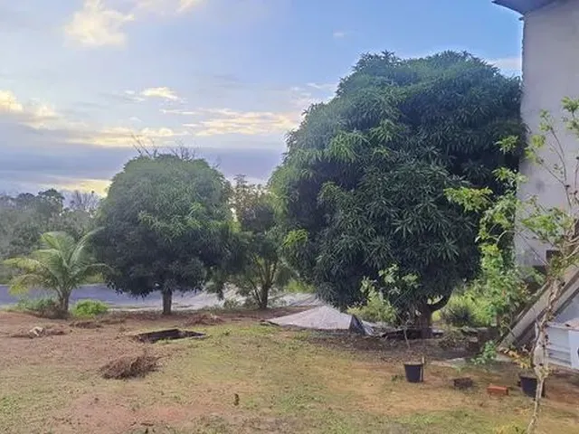 Imagem 4: Sitio para Criação de Tilápias