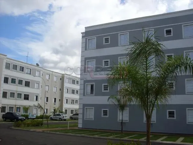 Imagem 2: Araçatuba - Apartamento - Umuarama