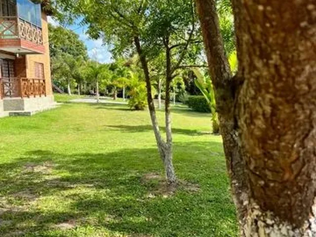 Imagem 15: Alugo Lindo Flat Zona Rural de Gravatá