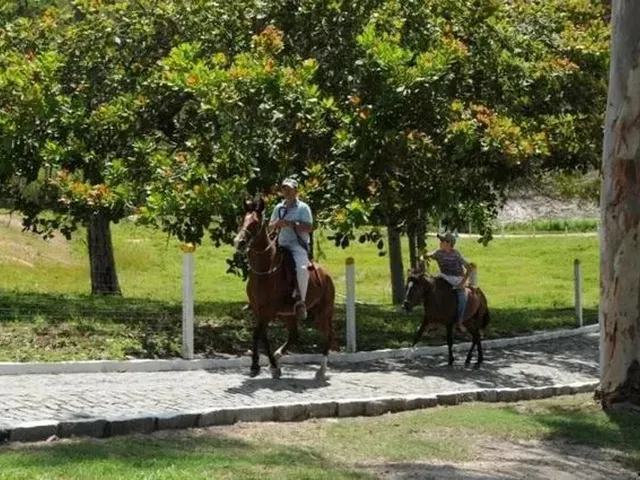 Imagem 9: Alugo Lindo Flat Zona Rural de Gravatá
