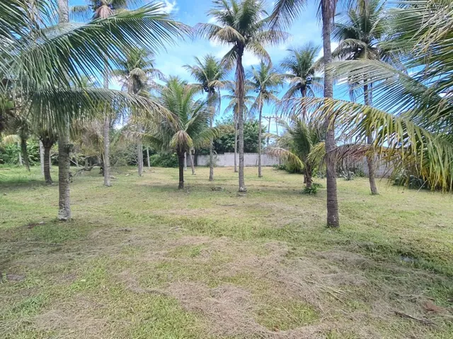 Imagem: ÁREA PLANA C/ 38.000 M2 IDEAL PARA CONDOMÍNIO