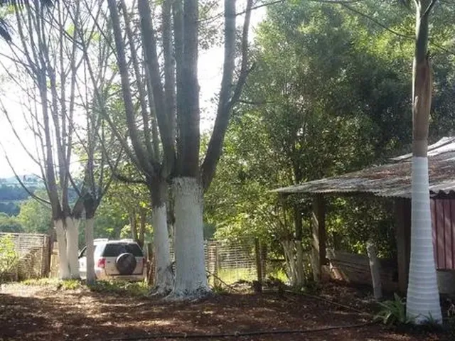 Imagem: Chácara Rio Branco