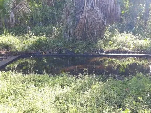 Imagem: A chácara possui 3 Dormitórios, 7.500m² de Área e está
