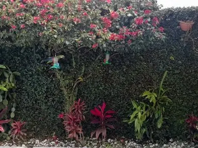 Imagem 15: Excelente Casa com Piscina em Matinhos