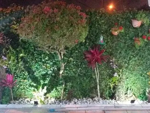 Imagem 12: Excelente Casa com Piscina em Matinhos