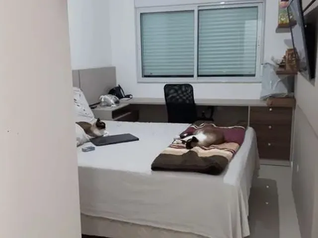 Imagem 10: S- Apartamento de 2 Quartos Sendo 1 Suíte, Finamente Mobiliado com 84 M² Privativos