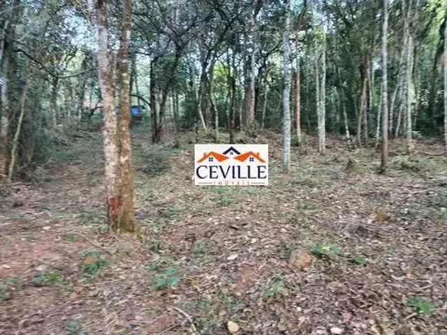 Imagem 2: Lote de 5000 M², Pasárgada