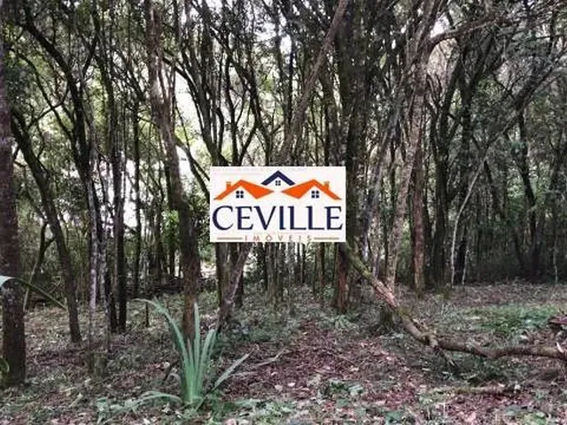 Imagem 4: Lote de 5000 M², Pasárgada