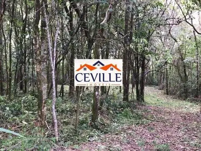 Imagem 5: Lote de 5000 M², Pasárgada