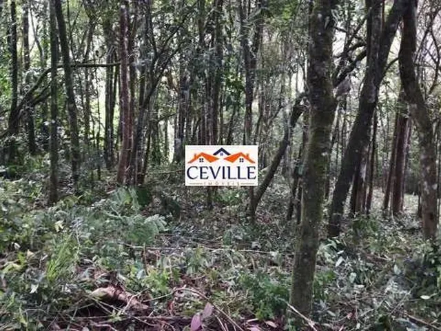 Imagem 3: Lote de 5000 M², Pasárgada