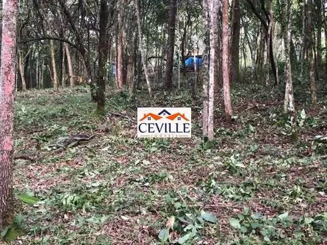 Imagem 7: Lote de 5000 M², Pasárgada