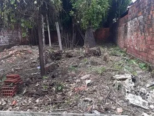 Imagem 9: Ponto Comercial com Sobrado em Avenida