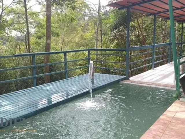 Imagem 7: Petrópolis - Casa Padrão - Araras