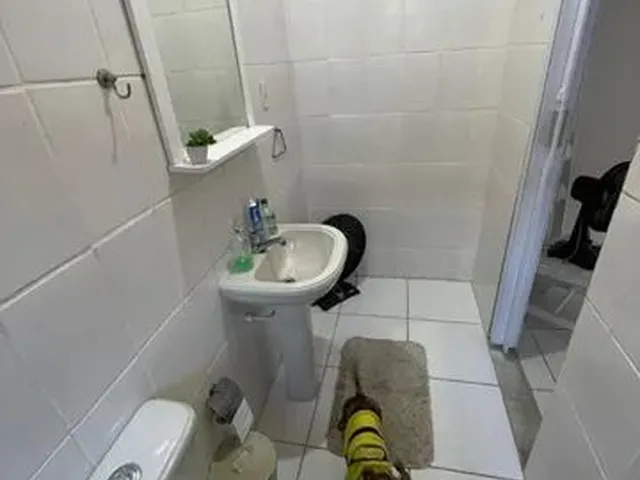 Imagem 15: Excelente Casa 2O e 3O Andar