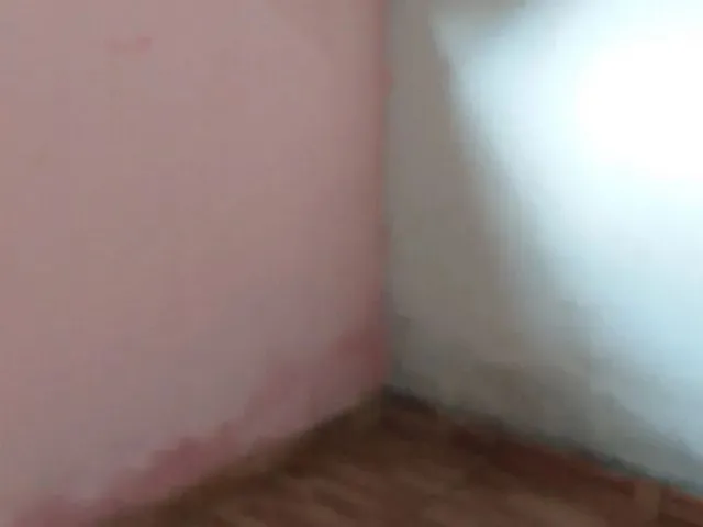Imagem: Aluga Se Uma Casa