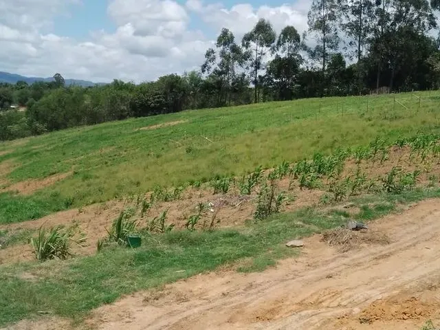 Imagem 1: Chacaras em Vilar Merlo Cariacicar