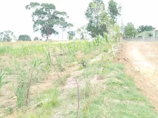 Imagem 3: Chacaras em Vilar Merlo Cariacicar