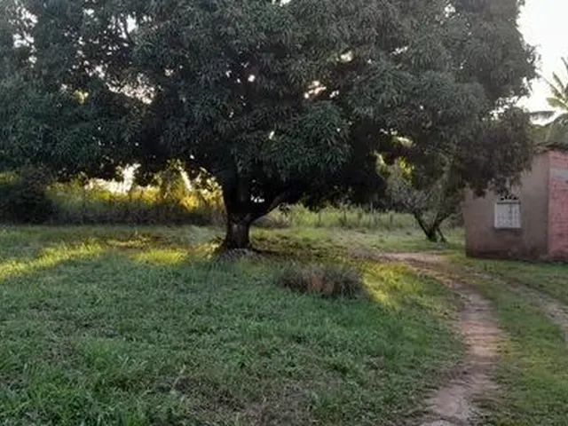 Imagem 3: Terreno Plano. da para Fazer 19 Lotes