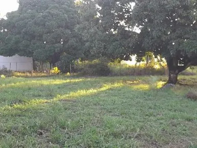 Imagem 6: Terreno Plano. da para Fazer 19 Lotes