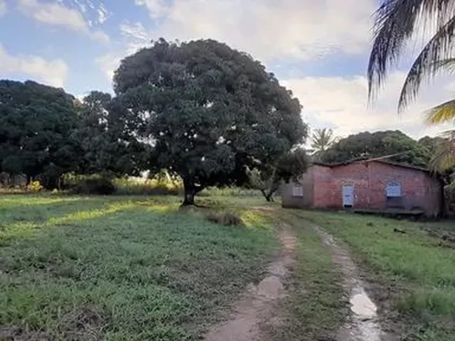 Imagem 5: Terreno Plano. da para Fazer 19 Lotes