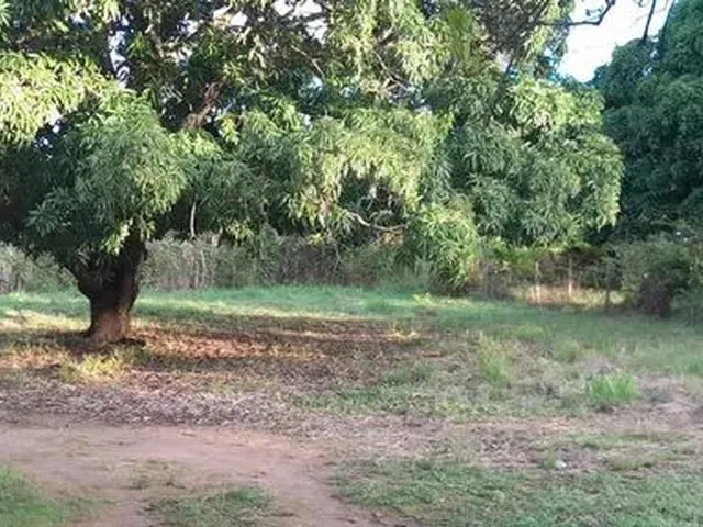 Imagem 2: Terreno Plano. da para Fazer 19 Lotes