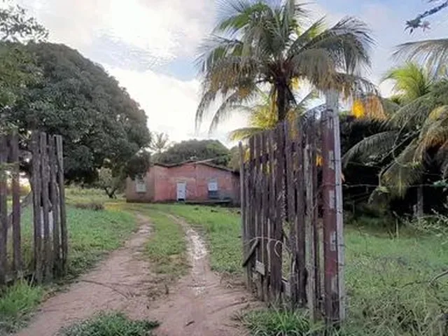 Imagem 4: Terreno Plano. da para Fazer 19 Lotes