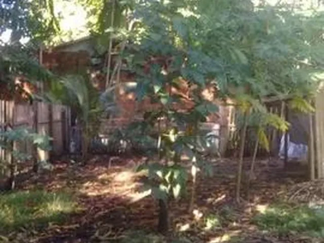 Imagem 12: Casa com Piscina - 3 Quartos / 2 Banheiros