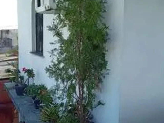 Imagem 2: Casa no Armando Mendes/Zona Leste