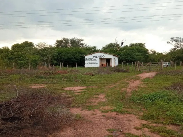 Imagem: Vendo Fazenda R$3.180 /Ha Frente Br135 Monte