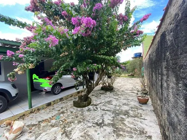 Imagem 8: Vendo Casa (Ou Alugo) - Alvenaria, Térrea, 04 Quartos, 02 Banheiros, Setor 04