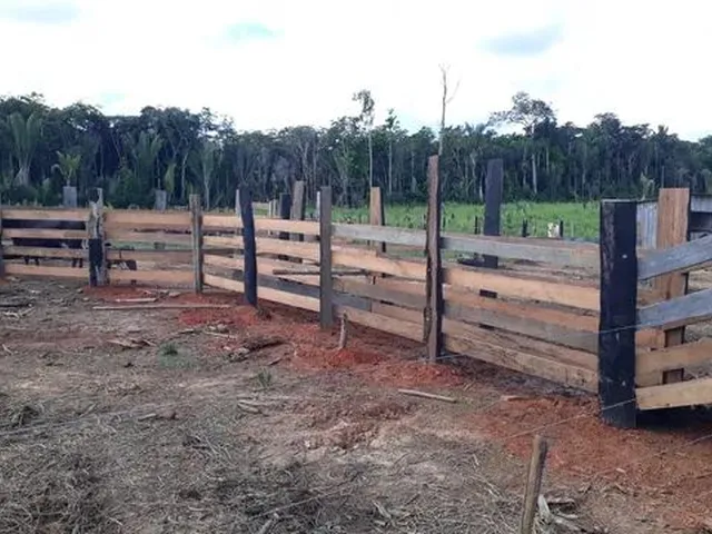 Imagem 12: Vende-Se Sítio de 84 Alqueires em Humaitá-Amazonas