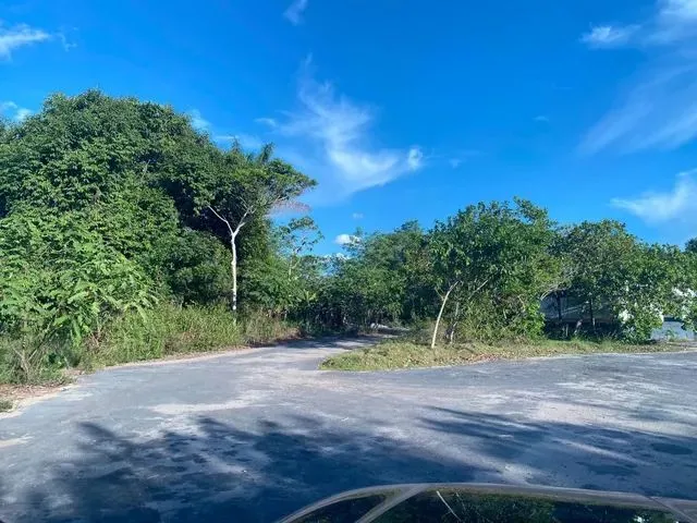 Imagem 5: Área Se 105.000M² Av. Turismo, Tarumã