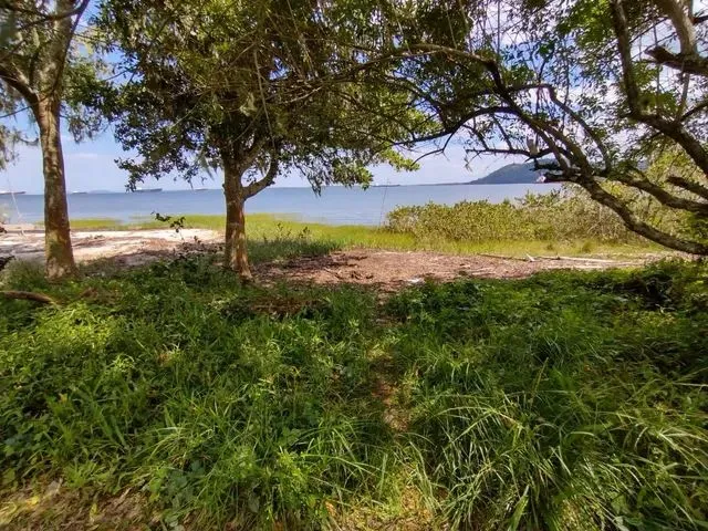 Imagem: Terreno Ilha de Puiaçaguera